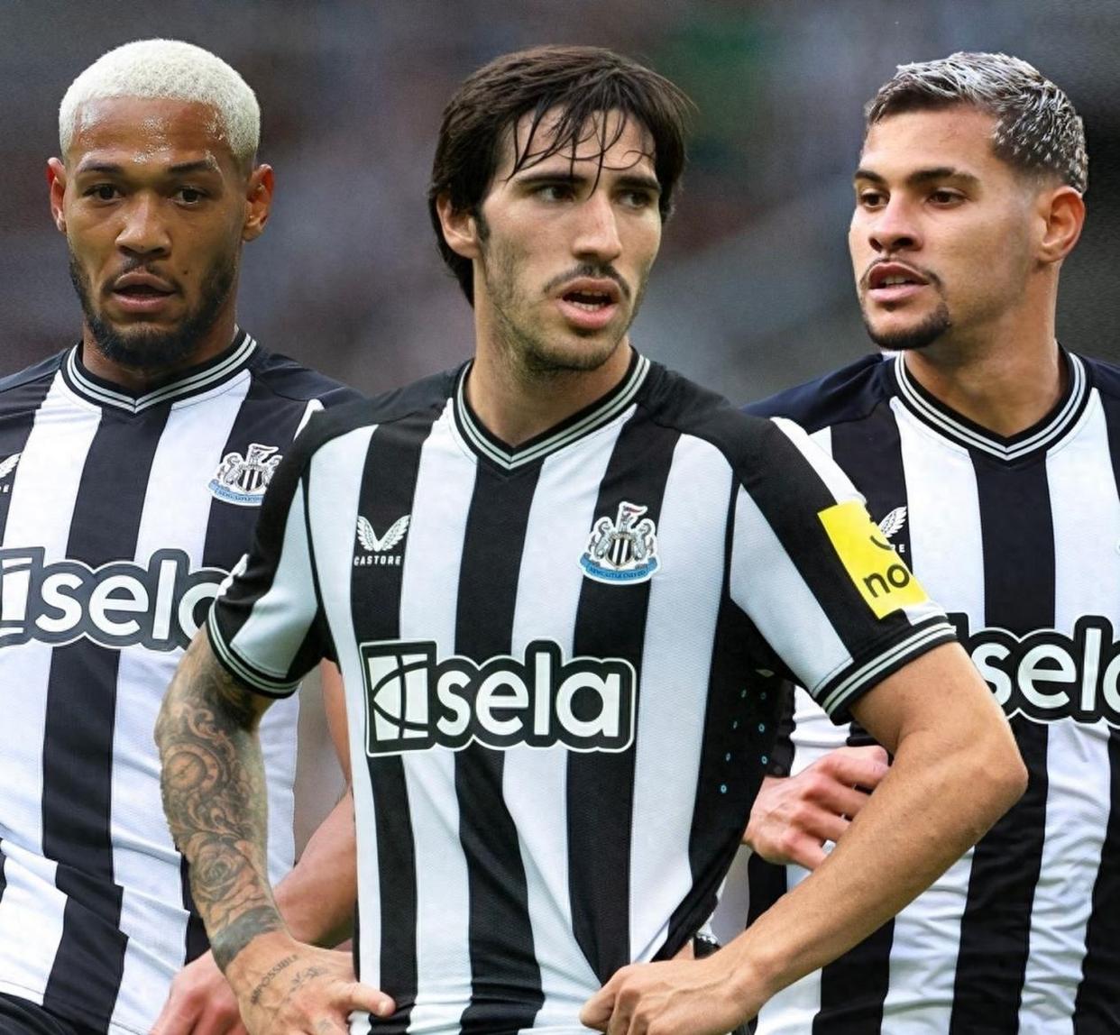 里程碑夜！纽卡斯尔战术微调，法国杯国际比赛日刷纪录，目标明确，医务组通报恢复的简单介绍-开云娱乐官网