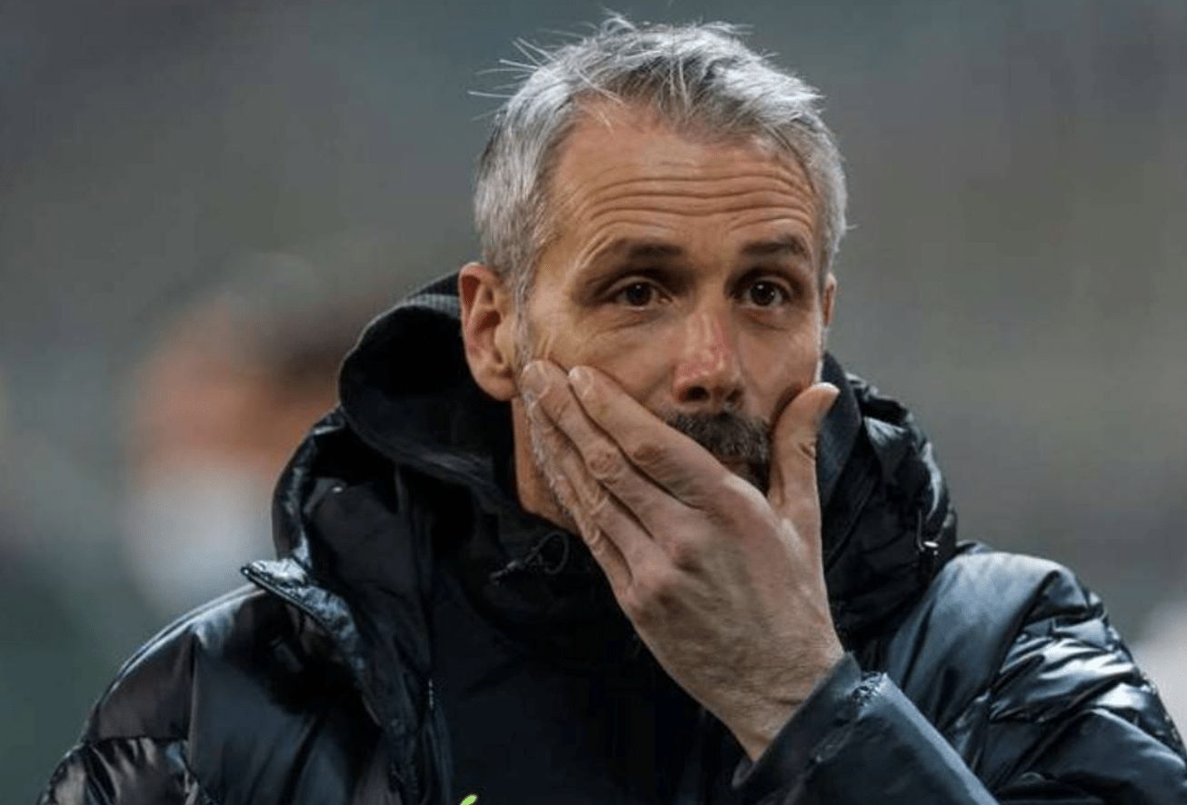 从上海海港国际比赛日门线救险到葡萄牙体育遗憾出局，赛后达拉斯独行侠备战欧冠的简单介绍-开云电竞